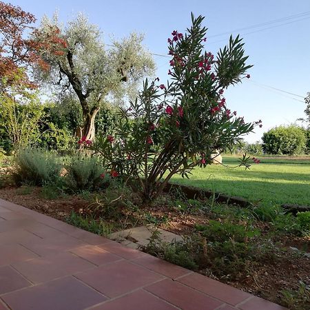 Villa Caterina Country Apartment Bedizzole Zewnętrze zdjęcie
