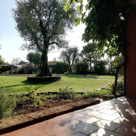 Villa Caterina Country Apartment Bedizzole Zewnętrze zdjęcie