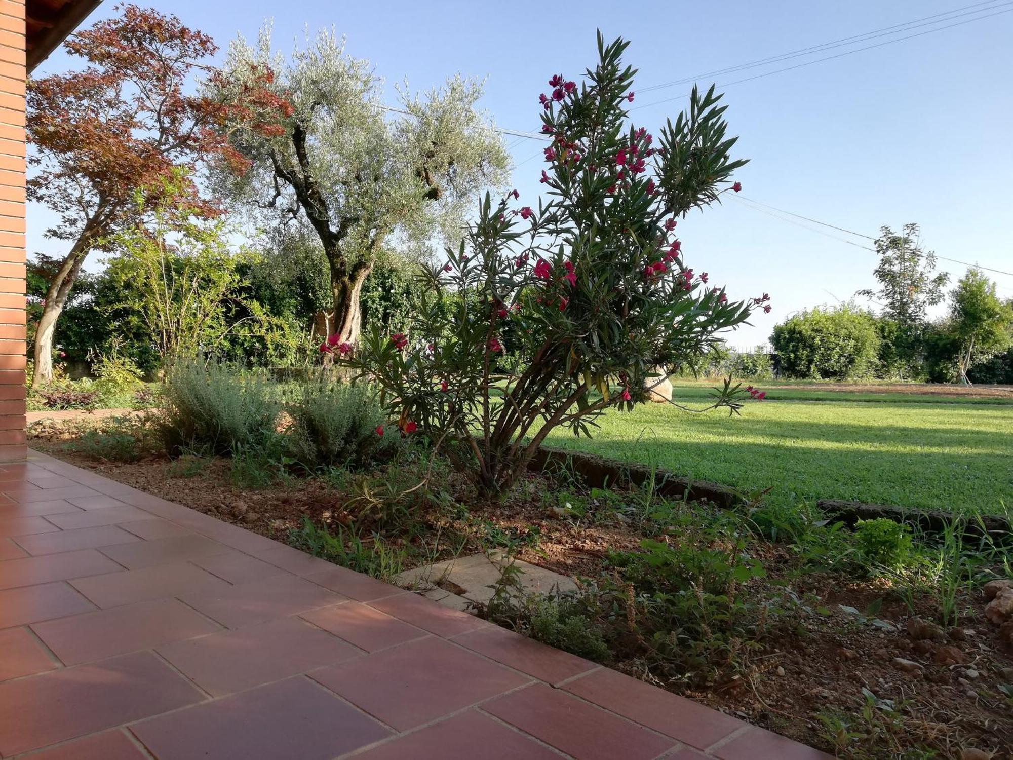 Villa Caterina Country Apartment Bedizzole Zewnętrze zdjęcie